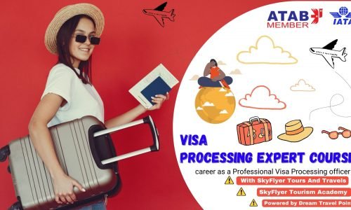 Professional Visa Processing Expert Course